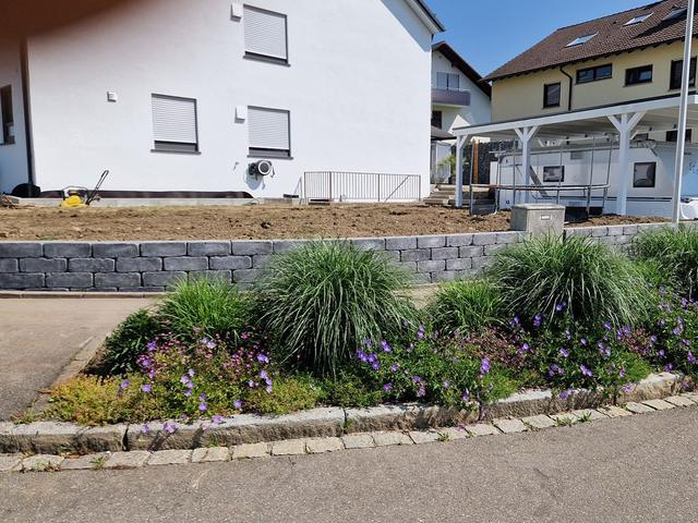 Vorgarten mit Stauden und Gräsern an der Mauer