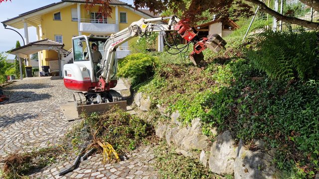 Böschung roden mit dem Minibagger
