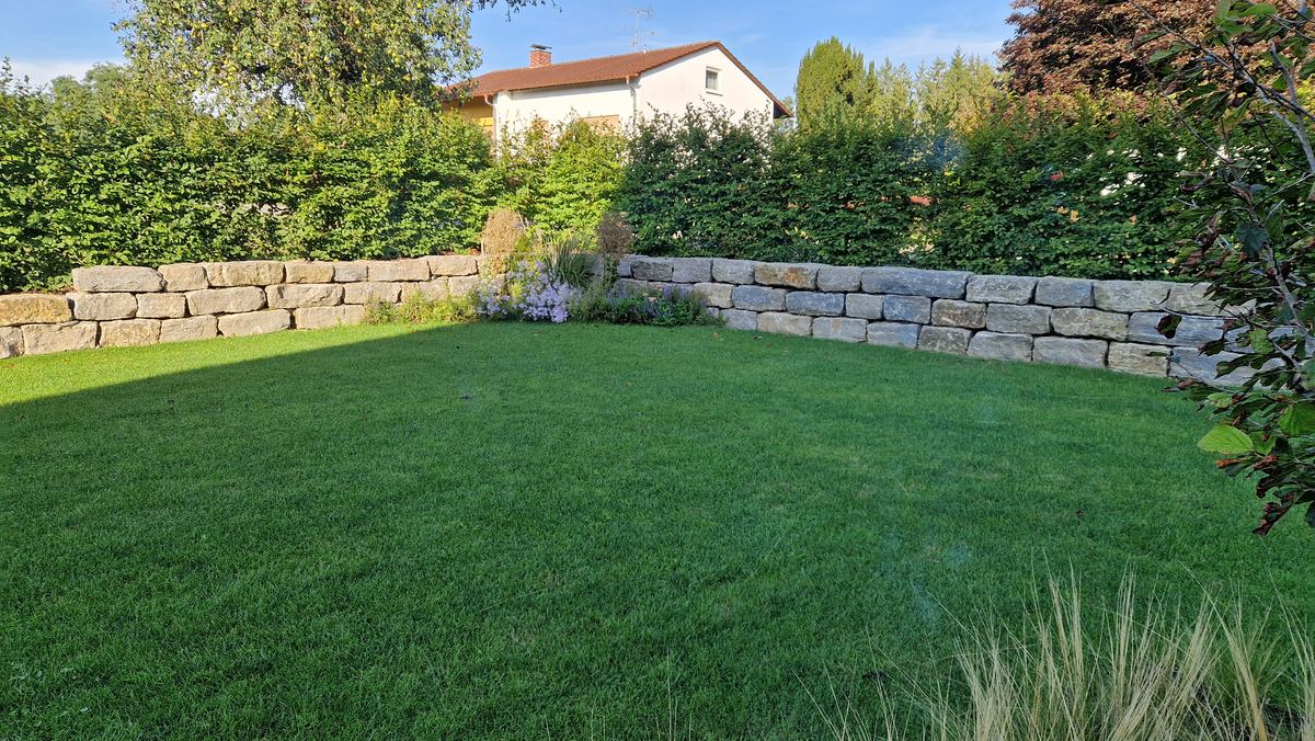 Gepflegter Rasen vor Natursteinmauer und geschnittener Hecke